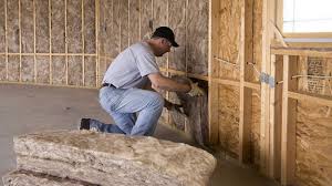 Best Insulation Air Sealing  in Le Sueur, MN